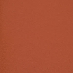 B7000 Brave Red by Greenhouse Fabric