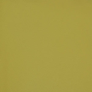 B7005 Bonsai by Greenhouse Fabric