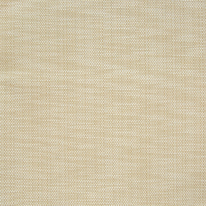 B7316 Raffia by Greenhouse Fabric 64% Cotton, 36% Polyester China 50,000 double rubs </p><p>Repeat: No Definite Repeat 55" - Fabric Carolina -