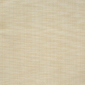 B7316 Raffia by Greenhouse Fabric
