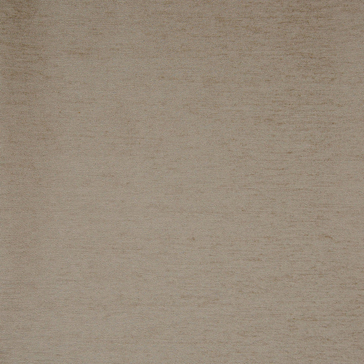 B7509 Oyster by Greenhouse Designer Fabric F07: Value Plush 65% Polyester, 35% Viscose China 60,000 double rubs </p><p>Repeat: No Definite Repeat 56" - Swanky Fabrics -