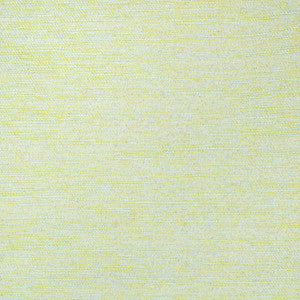 B7540 Celadon by Greenhouse Fabric