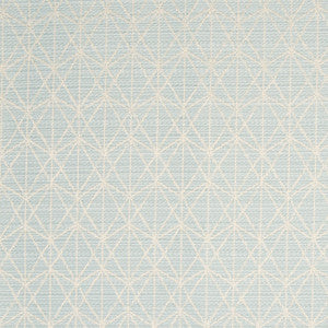 B7582 Rain by Greenhouse Fabric