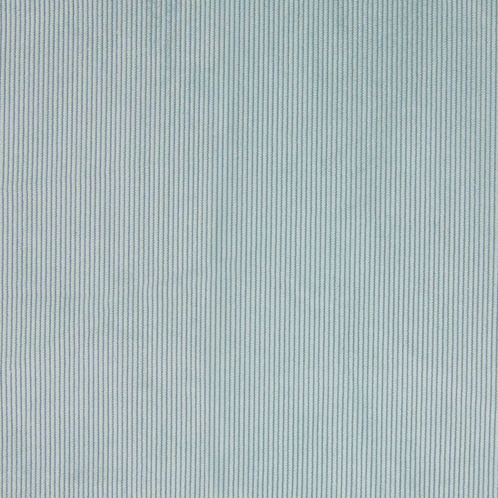 B7587 Ice by Greenhouse Fabric 100% Polyester China 150,000 double rubs </p><p>Repeat: .10" H 57" - Fabric Carolina -