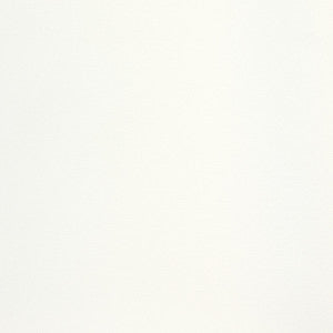 B8480 Salt by Greenhouse Fabric