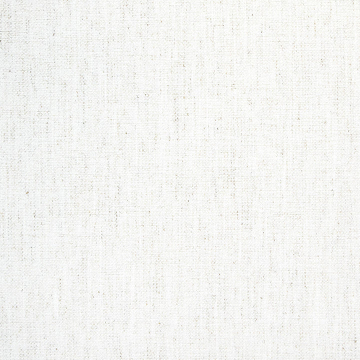 B8489 Snow by Greenhouse Designer Fabric 92% Polyester, 8% Linen China 100,000 double rubs </p><p>Repeat: None 54" - Swanky Fabrics -