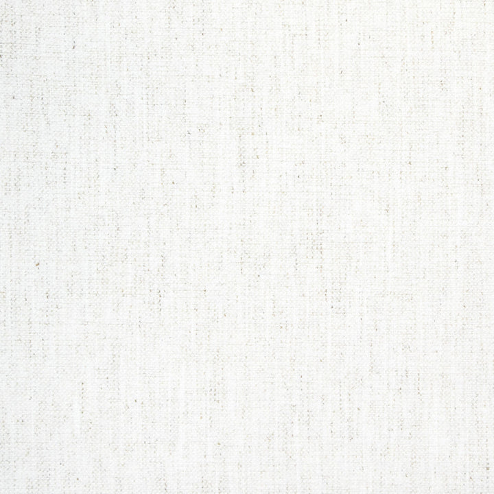 B8489 Snow by Greenhouse Fabric 92% Polyester, 8% Linen China 100,000 double rubs </p><p>Repeat: None 54" - Fabric Carolina -
