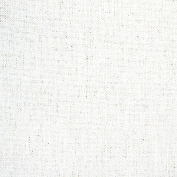 B8489 Snow by Greenhouse Fabric 92% Polyester, 8% Linen China 100,000 double rubs </p><p>Repeat: None 54" - Fabric Carolina -