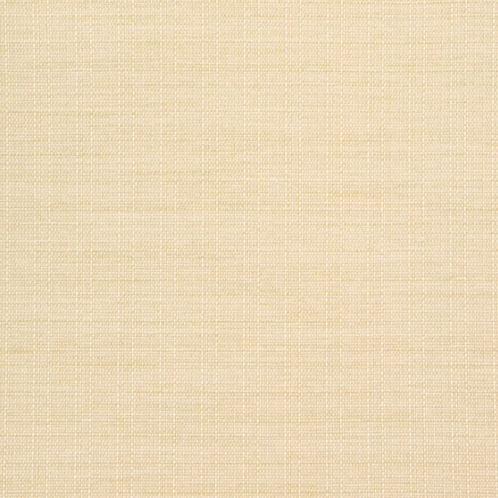 B8513 Buff by Greenhouse Fabric 100% Polyester Taiwan 50,000 double rubs </p><p>Repeat: NONE 54" - Fabric Carolina -