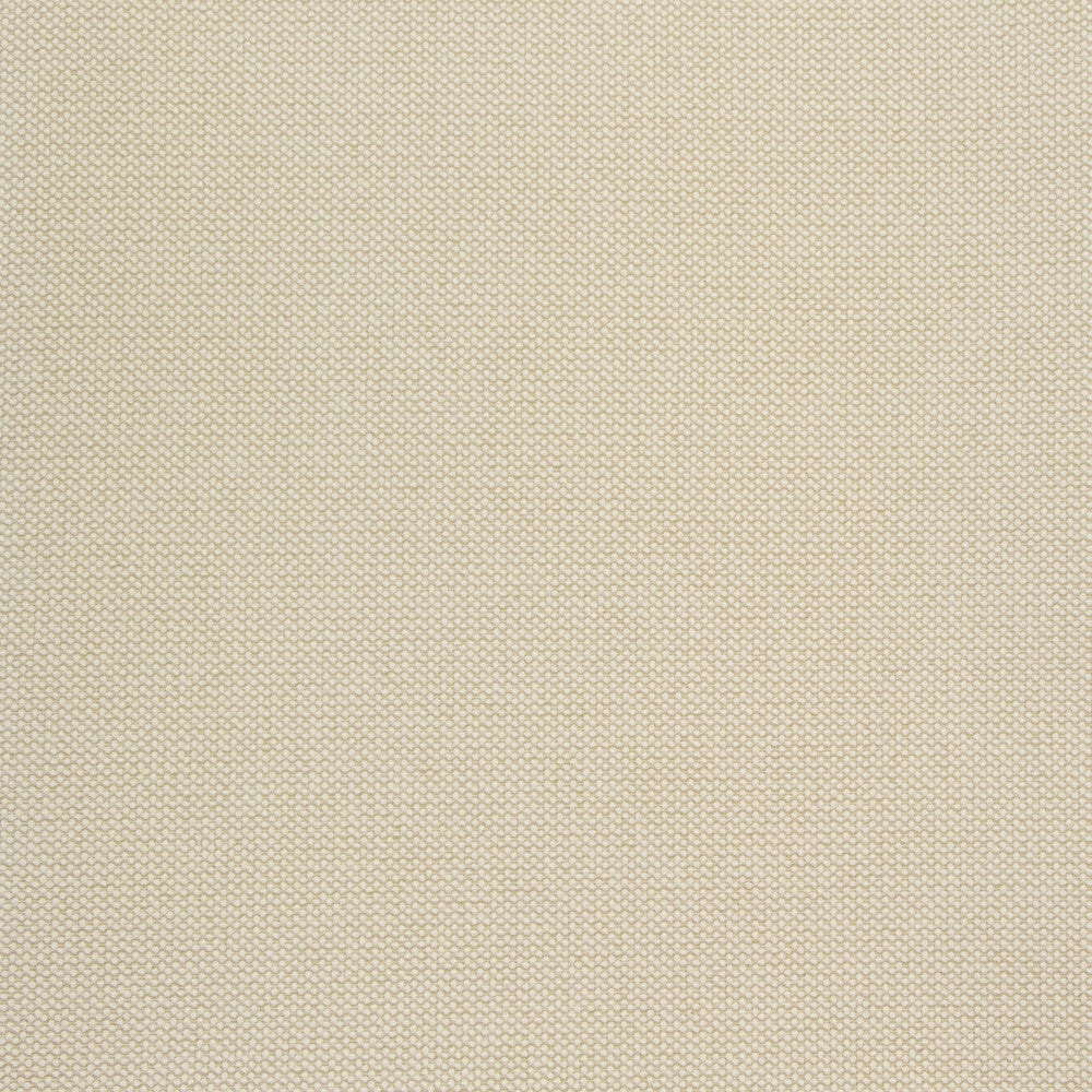 B8517 Rice by Greenhouse Fabric 100% Polyester China 50,000 double rubs </p><p>Repeat: NONE 54" - Fabric Carolina -