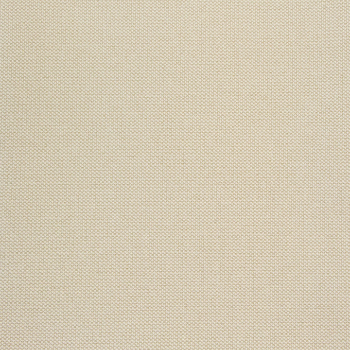 B8517 Rice by Greenhouse Fabric 100% Polyester China 50,000 double rubs </p><p>Repeat: NONE 54" - Fabric Carolina -