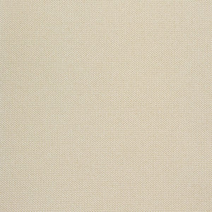 B8517 Rice by Greenhouse Fabric