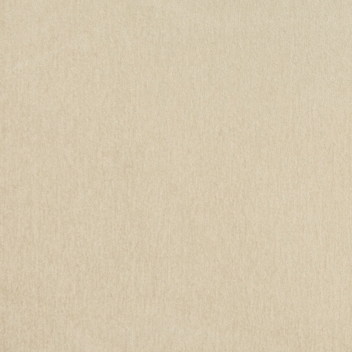 B8522 Dove by Greenhouse Fabric M01: Memos by Color 100% Polyester China 50,000 double rubs Crypton </p><p>Repeat: None 54" - Fabric Carolina -