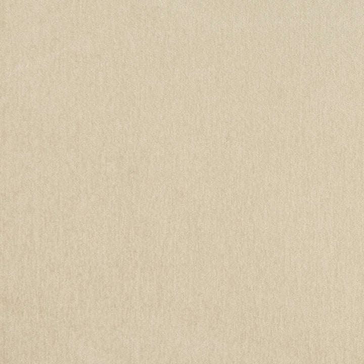 B8522 Dove by Greenhouse Fabric 100% Polyester China 50,000 </p><p>Repeat: None 54" - Fabric Carolina -