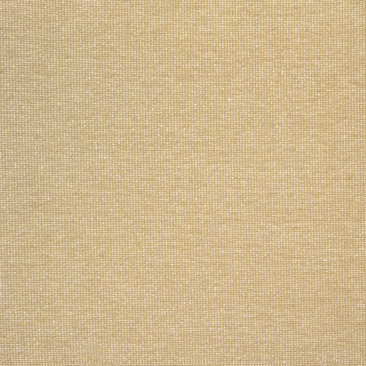 B8525 Fawn by Greenhouse Fabric 100% Polyester China 50,000 double rubs </p><p>Repeat: NONE 54" - Fabric Carolina -
