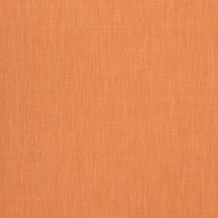B8564 Squash by Greenhouse Fabric 100% Polyester Taiwan 50,000 double rubs </p><p>Repeat: NONE 54" - Fabric Carolina -