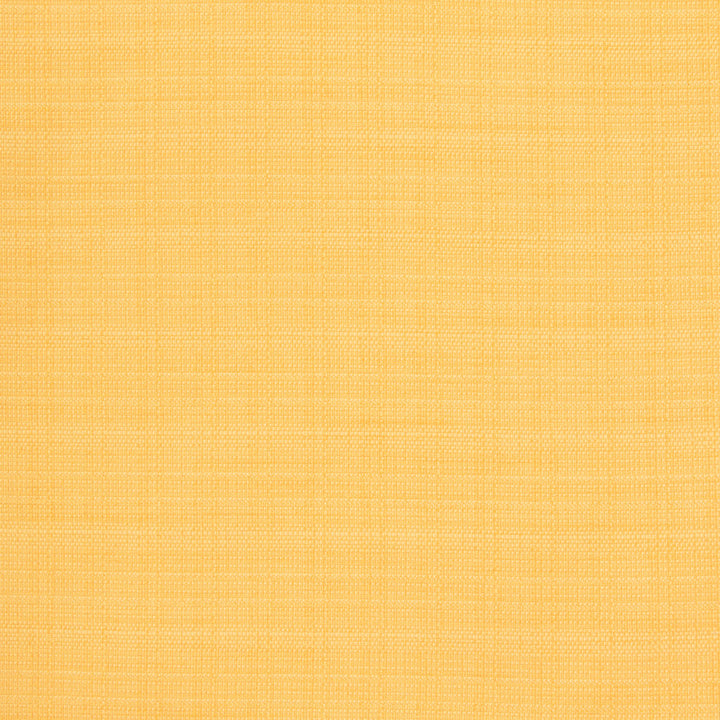 B8569 Lemon by Greenhouse Fabric 100% Polyester Taiwan 50,000 double rubs </p><p>Repeat: NONE 54" - Fabric Carolina -