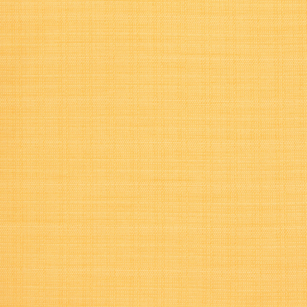 B8569 Lemon by Greenhouse Fabric 100% Polyester Taiwan 50,000 double rubs </p><p>Repeat: NONE 54" - Fabric Carolina -