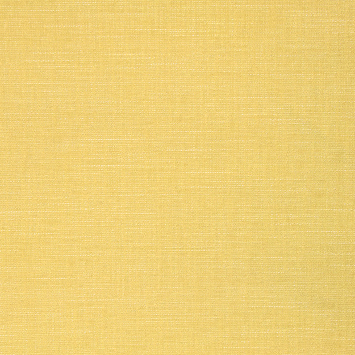 B8570 Canary by Greenhouse Fabric 100% Polyester China 33,000 double rubs </p><p>Repeat: NONE 54" - Fabric Carolina -