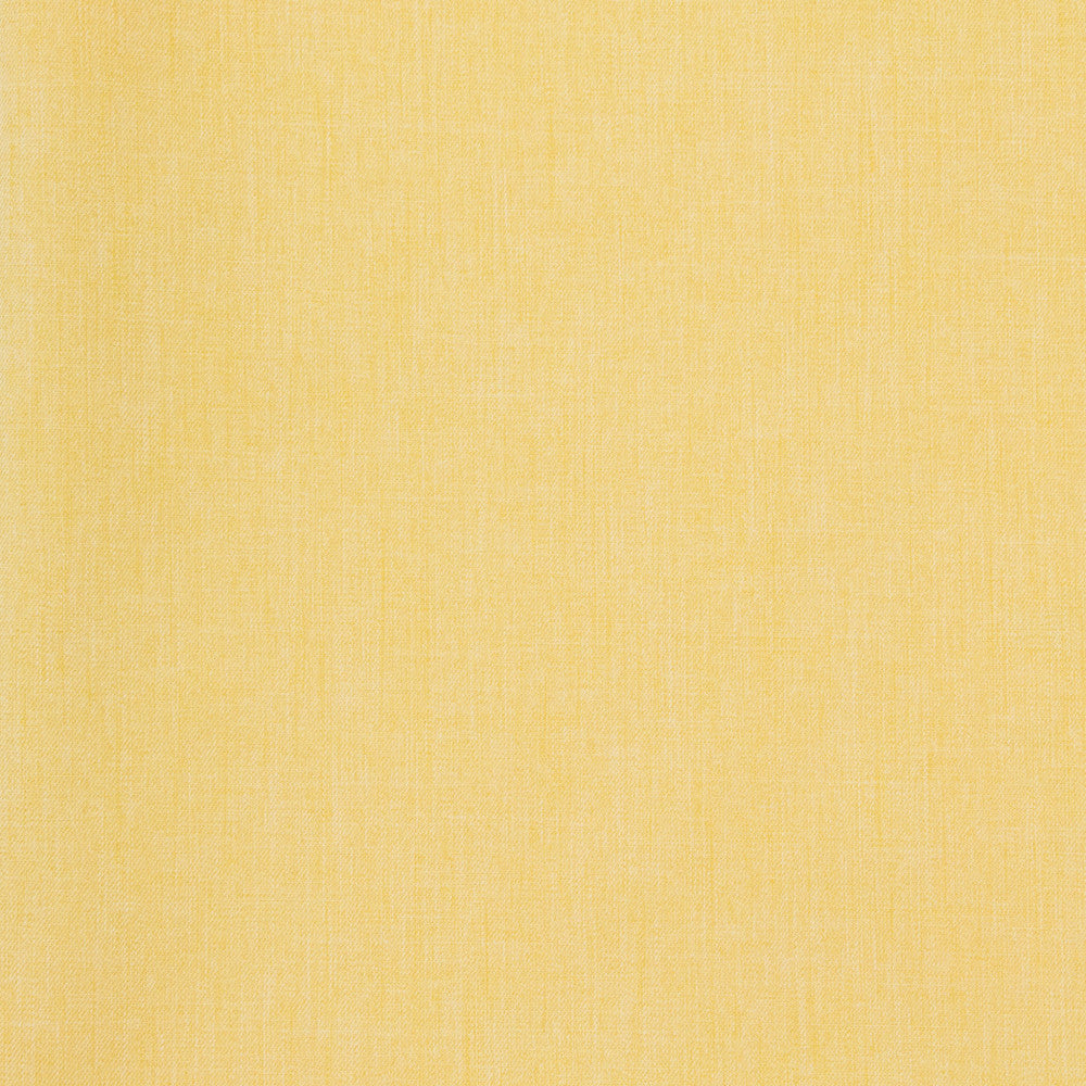 B8571 June Day by Greenhouse Fabric 100% Polyester Taiwan 50,000 double rubs </p><p>Repeat: NONE 54" - Fabric Carolina -