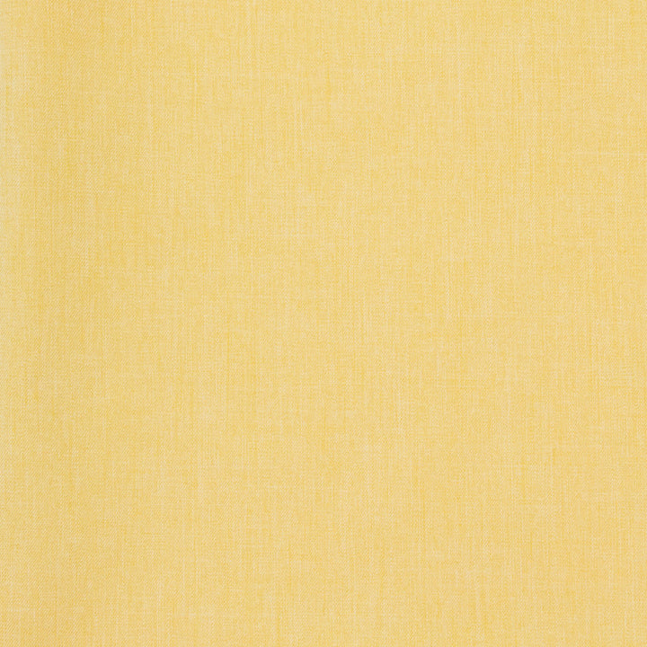 B8571 June Day by Greenhouse Fabric 100% Polyester Taiwan 50,000 double rubs </p><p>Repeat: NONE 54" - Fabric Carolina -