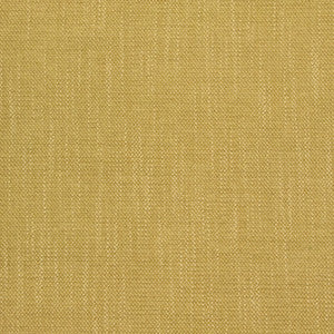 B8577 Forsythia by Greenhouse Fabric