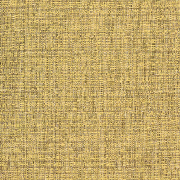B8578 Dijon by Greenhouse Fabric 100% Polyester China 50,000 double rubs </p><p>Repeat: NONE 54" - Fabric Carolina -