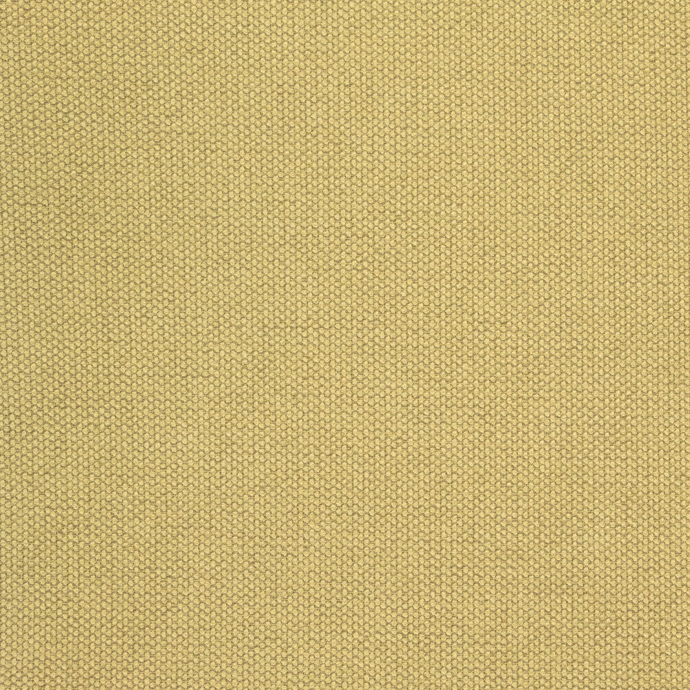 B8580 Apple by Greenhouse Fabric 100% Polyester China 50,000 double rubs </p><p>Repeat: NONE 54" - Fabric Carolina -