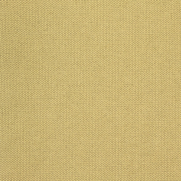 B8580 Apple by Greenhouse Fabric 100% Polyester China 50,000 double rubs </p><p>Repeat: NONE 54" - Fabric Carolina -