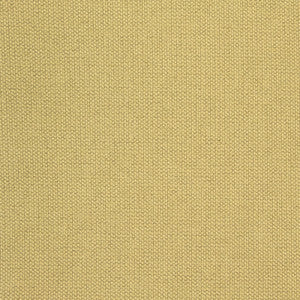 B8580 Apple by Greenhouse Fabric