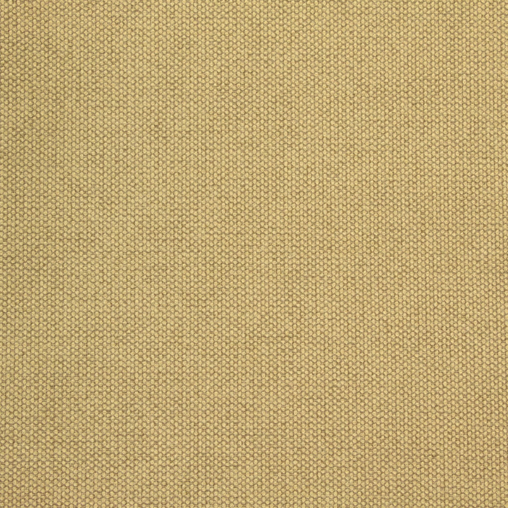 B8581 Camel by Greenhouse Fabric 100% Polyester China 50,000 double rubs </p><p>Repeat: NONE 54" - Fabric Carolina -