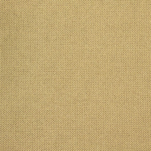 B8581 Camel by Greenhouse Fabric