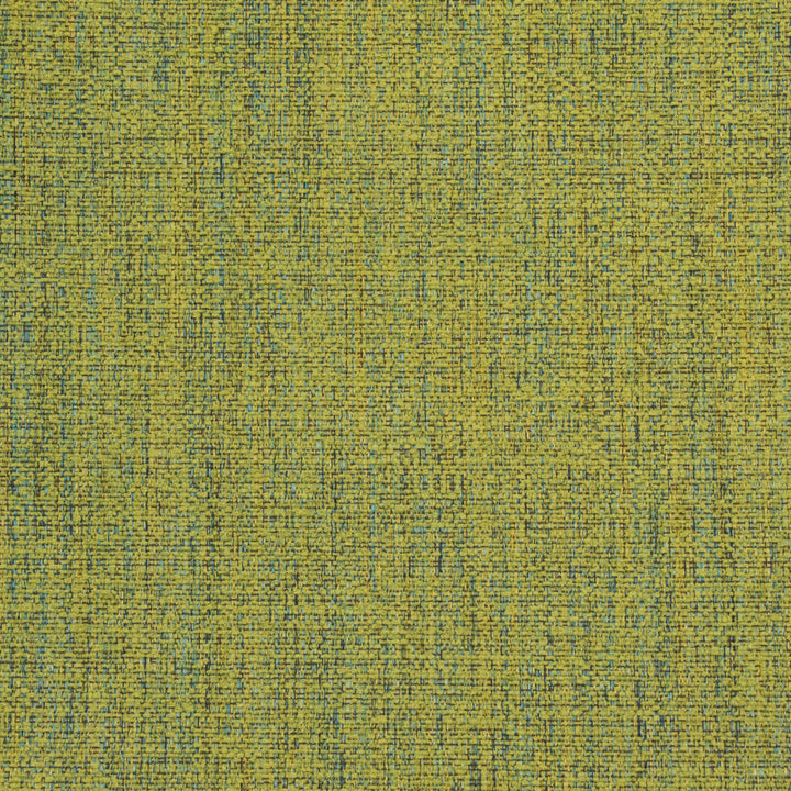B8639 Sugarsnap by Greenhouse Fabric 100% Polyester China 50,000 double rubs </p><p>Repeat: NONE 54" - Fabric Carolina -