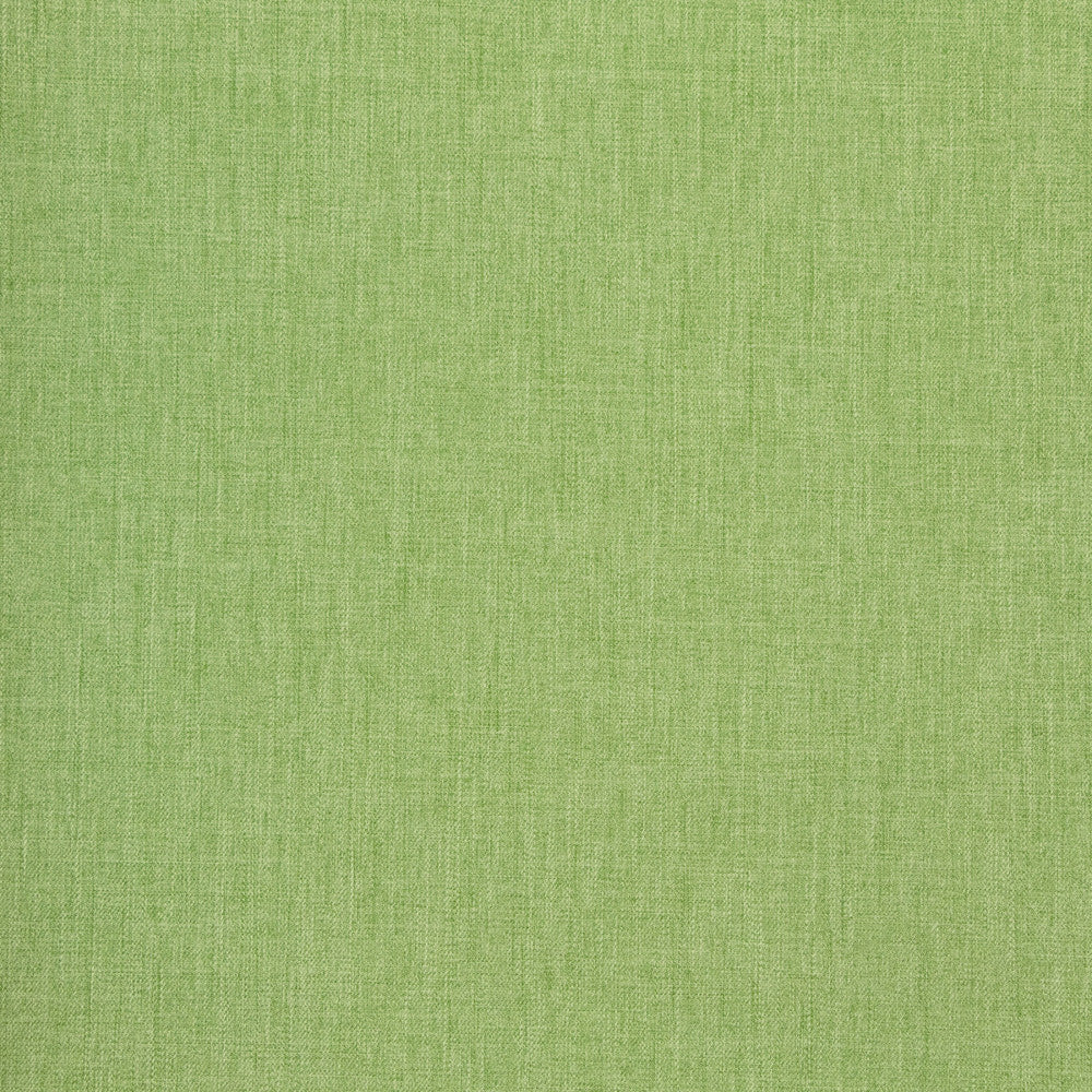 B8643 Overt Green by Greenhouse Fabric 100% Polyester Taiwan 50,000 double rubs </p><p>Repeat: NONE 54" - Fabric Carolina -
