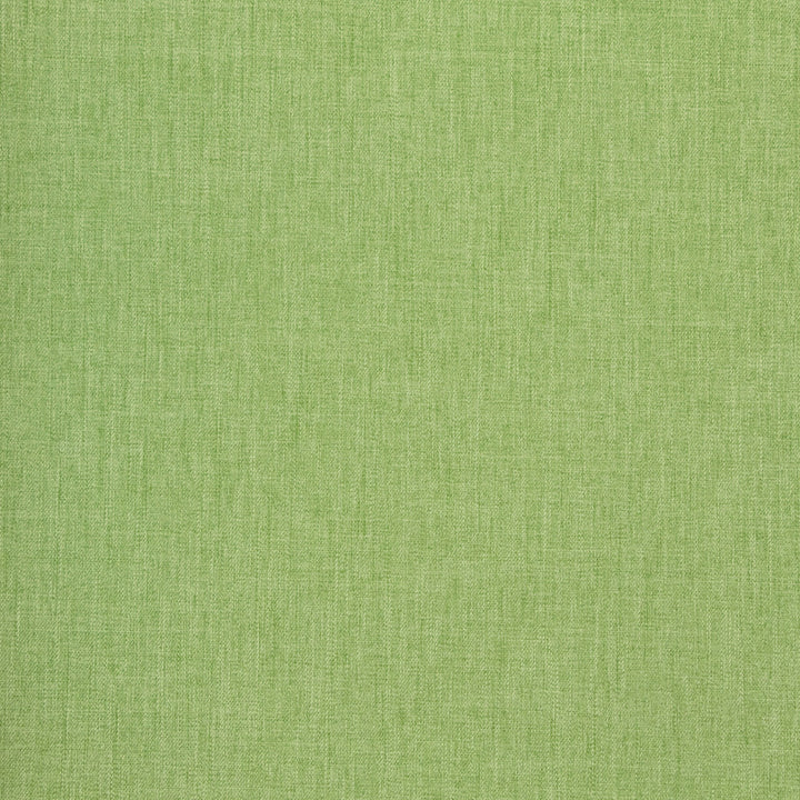 B8643 Overt Green by Greenhouse Fabric 100% Polyester Taiwan 50,000 double rubs </p><p>Repeat: NONE 54" - Fabric Carolina -