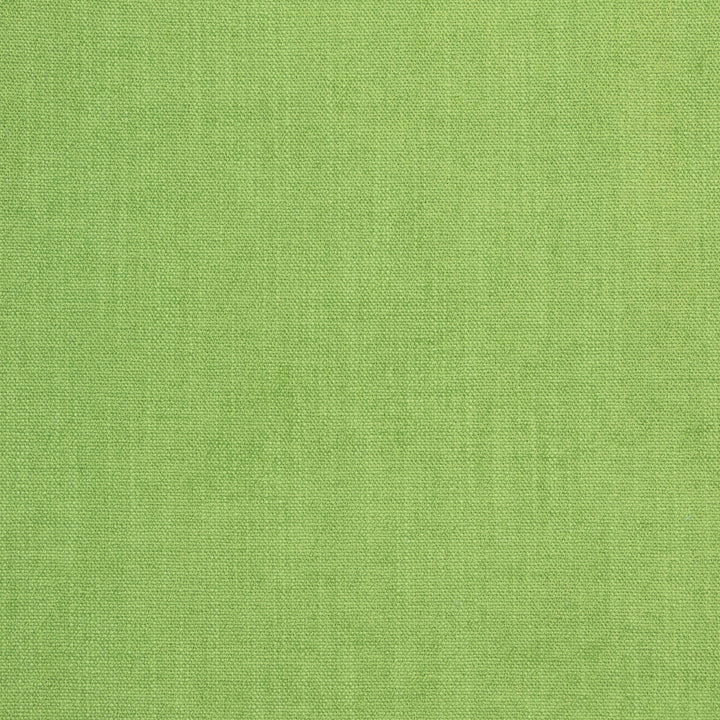 B8644 Greenery by Greenhouse Fabric 100% Polyester China 50,000 double rubs </p><p>Repeat: NONE 54" - Fabric Carolina -
