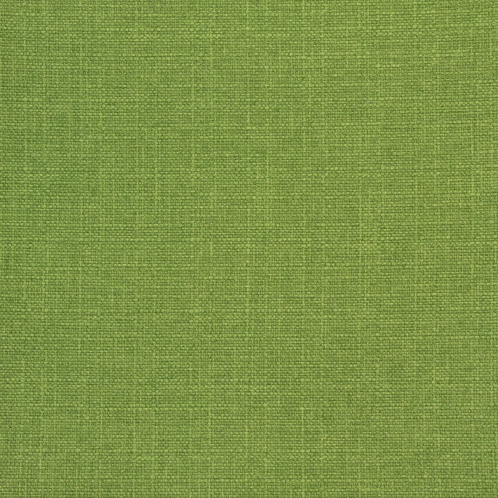 B8645 Wasabi by Greenhouse Fabric 100% Polyester China 50,000 double rubs </p><p>Repeat: NONE 54" - Fabric Carolina -