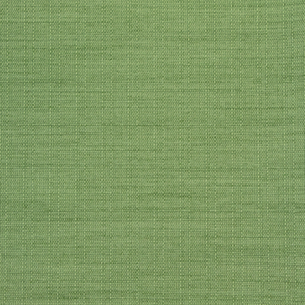 B8646 Clover by Greenhouse Fabric 100% Polyester Taiwan 50,000 double rubs </p><p>Repeat: NONE 54" - Fabric Carolina -