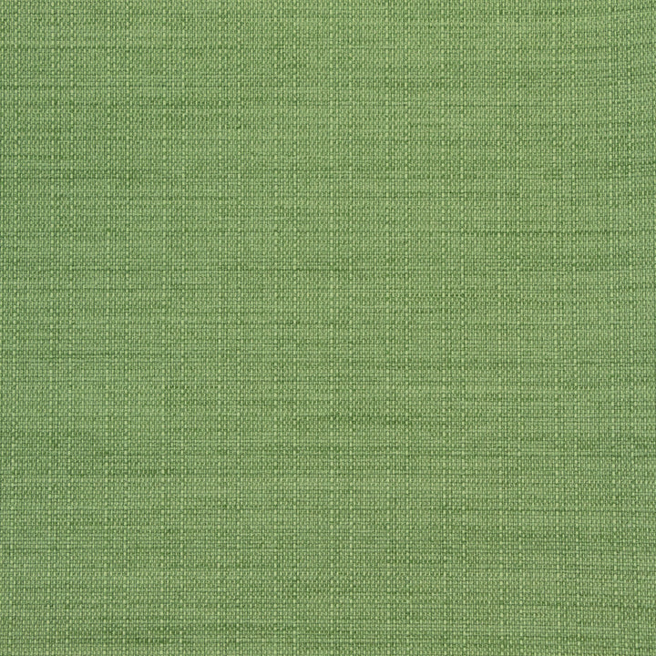 B8646 Clover by Greenhouse Fabric 100% Polyester Taiwan 50,000 double rubs </p><p>Repeat: NONE 54" - Fabric Carolina -