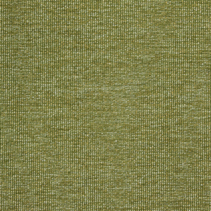 B8649 Avocado by Greenhouse Fabric 100% Polyester China 50,000 double rubs </p><p>Repeat: NONE 54" - Fabric Carolina -