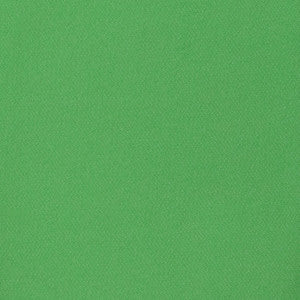 B8790 Macaw by Greenhouse Fabric
