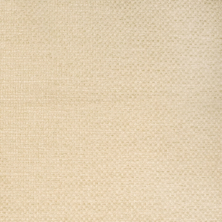 B8839 Sand by Greenhouse Fabric 100% Polypropylene 1,500 Light Hours USA 30,000 double rubs </p><p>Repeat: None 54" - Fabric Carolina -