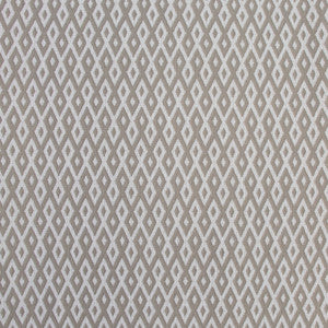 B8862 Cement by Greenhouse Fabric