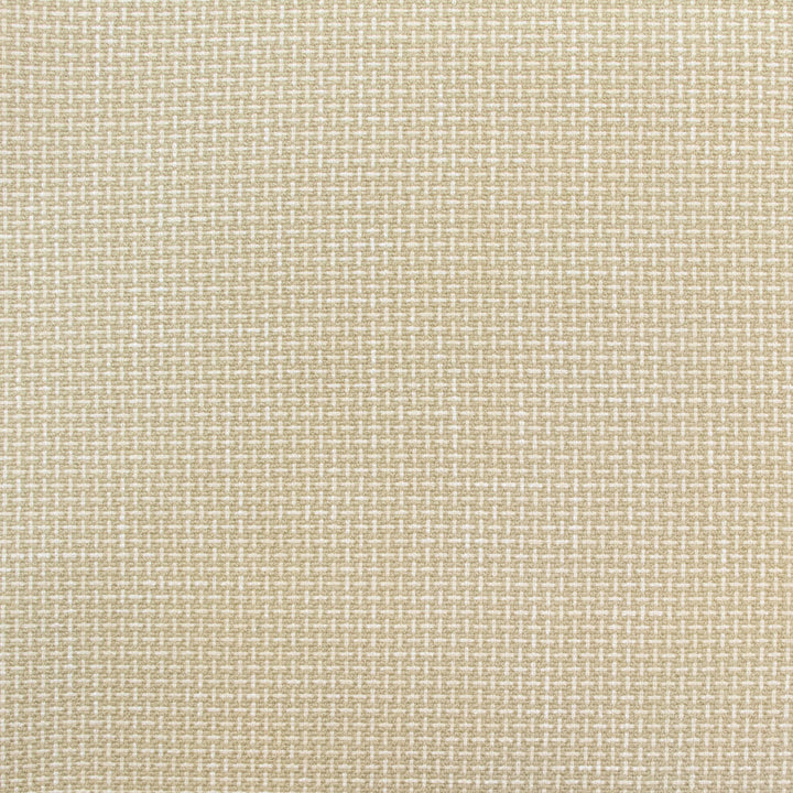 B9025 Citron by Greenhouse Fabric 100% Polyester China 75,000 </p><p>Repeat: .5" H, .5" V 57" - Fabric Carolina -