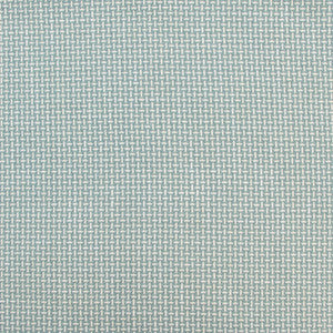 B9069 Mineral by Greenhouse Fabric