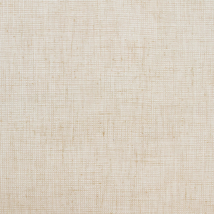 B9129 Papyrus by Greenhouse Fabric 100% Polyester India 30,000 double rubs </p><p>Repeat: None 54" - Fabric Carolina -
