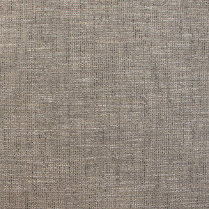 B9250 Pewter by Greenhouse Fabric