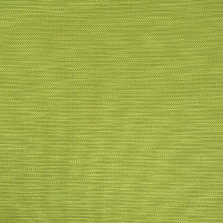 B9687 Kiwi by Greenhouse Fabric 64% Cotton, 36% Polyester China 50,000 double rubs </p><p>Repeat: No Definite Repeat 55" - Fabric Carolina -