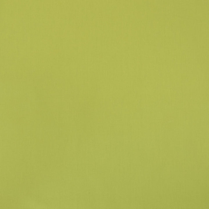 B9690 Kiwi by Greenhouse Fabric 100% Cotton Duck Varies 30,000 double rubs </p><p>Repeat: None 54" - Fabric Carolina -