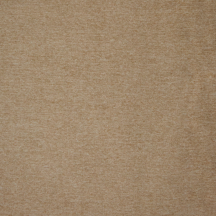 B9740 Sand by Greenhouse Fabric F07: Value Plush 100% Polyester China 105,000 double rubs </p><p>Repeat: None 57" - Fabric Carolina -